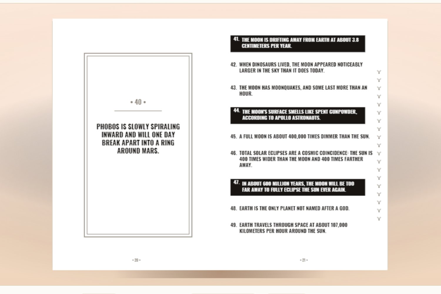 Proof / Results / Interior Layout Showcase generated by Fact Book Studio